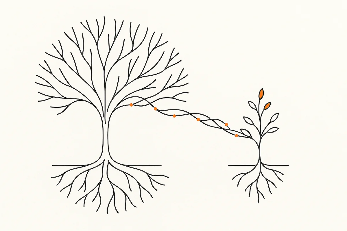 What Happens When the Project Is Done